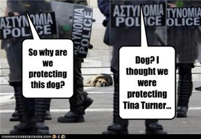 So why are we protecting this dog?
