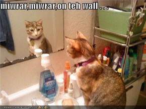 miwrar,miwrar,on teh wall . . .