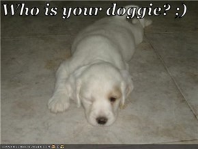 Who is your doggie? ;)