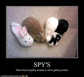 SPY'S