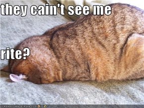 they cain't see me rite?
