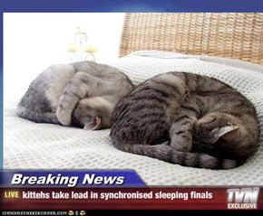 Breaking News - kittehs take lead in synchronised sleeping finals