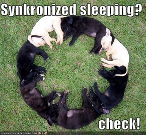 Synkronized sleeping?   check!