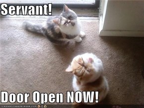 Servant!   Door Open NOW!