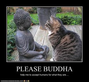 PLEASE BUDDHA