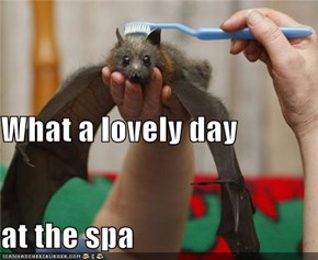 What a lovely day at the spa