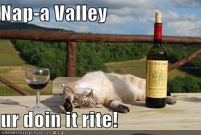 Nap-a Valley  ur doin it rite!