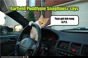 Youz got teh rong G.P.S.