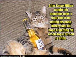 After Cesar Millan taught teh hoomans how to stop Fido from eating his poop, Harvey lost all hope of getting rid of teh dog & turned to drink.