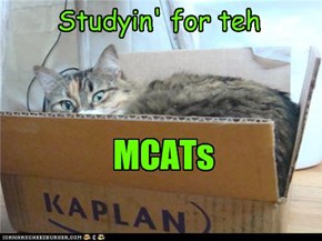 Studyin'