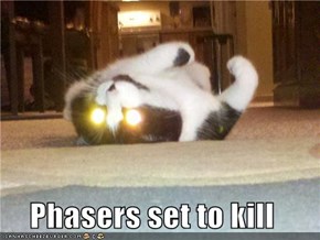 Phasers set to kill