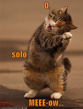 O,        solo         MEEE-ow...