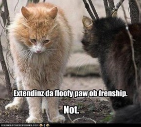 Extendinz da floofy paw ob frenship.