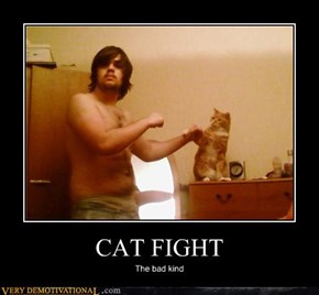 CAT FIGHT