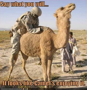 Say what you will...  ..It looks like Camel's enjoying it.