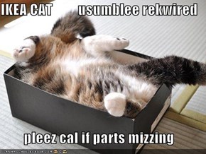 IKEA CAT         usumblee rekwired        pleez cal if parts mizzing