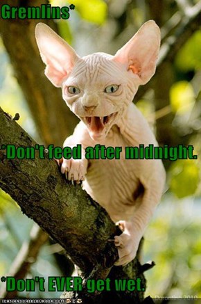 Gremlins* *Don't feed after midnight. *Don't EVER get wet.