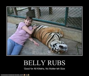 BELLY RUBS