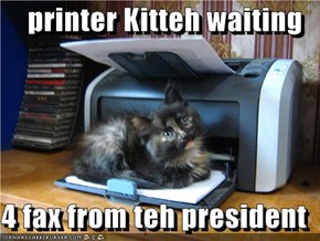 printer Kitteh waiting  4 fax from teh president