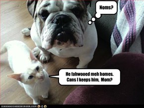 He fahwooed meh homes. Cans I keeps him,  Mom?