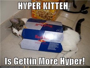 HYPER KITTEH  Is Gettin More Hyper!