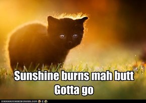 Sunshine burns mah butt. Gotta got