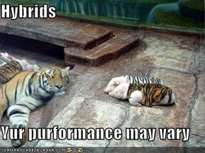 Hybrids  Yur purformance may vary