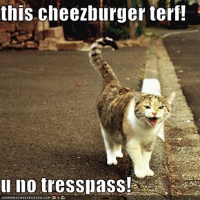 this cheezburger terf!  u no tresspass!