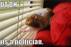 UT OH  its a poltician.