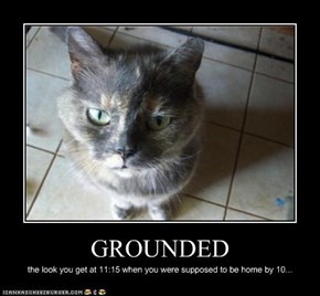 GROUNDED