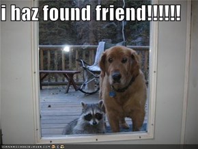 i haz found friend!!!!!!