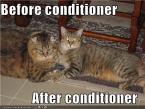 Before conditioner  After conditioner