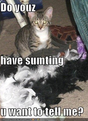 Do youz have sumting u want to tell me?
