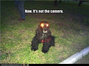 Naw, it's not the camera.