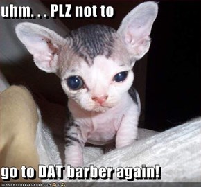 uhm. . . PLZ not to  go to DAT barber again!