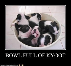 BOWL FULL OF KYOOT