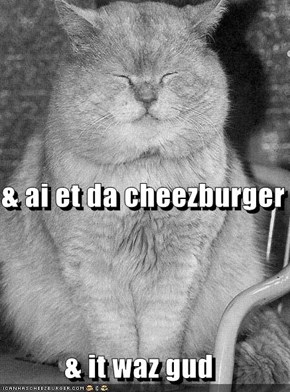 & ai et da cheezburger & it waz gud