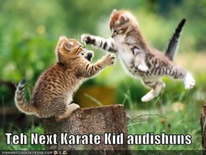 Teh Next Karate Kid audishuns