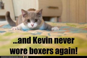 ...and Kevin never wore boxers again!