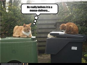 He really belives it is a mouse-delivery....