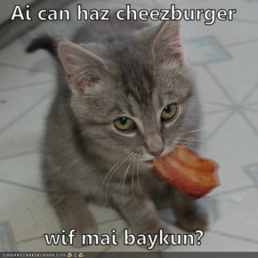 Ai can haz cheezburger  wif mai baykun?