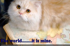 The world........it is mine.