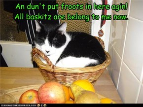 An dun't put froots in here agin! All baskitz are belong to me now.