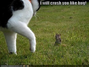 I will crush you like bug!