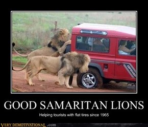 GOOD SAMARITAN LIONS