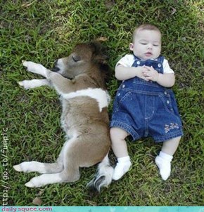 Baby Donkey and Baby Human