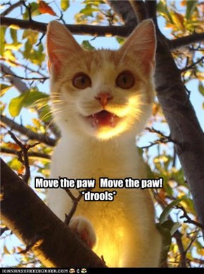 Move the paw   Move the paw! *drools*