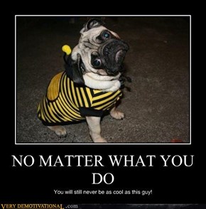 NO MATTER WHAT YOU DO