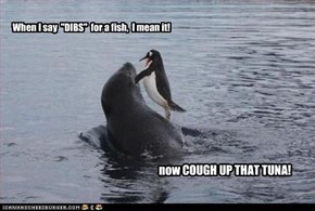 DIBS on the fish