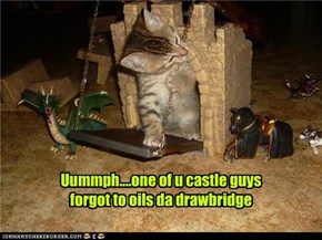 Uummph....one of u castle guys forgot to oils da drawbridge